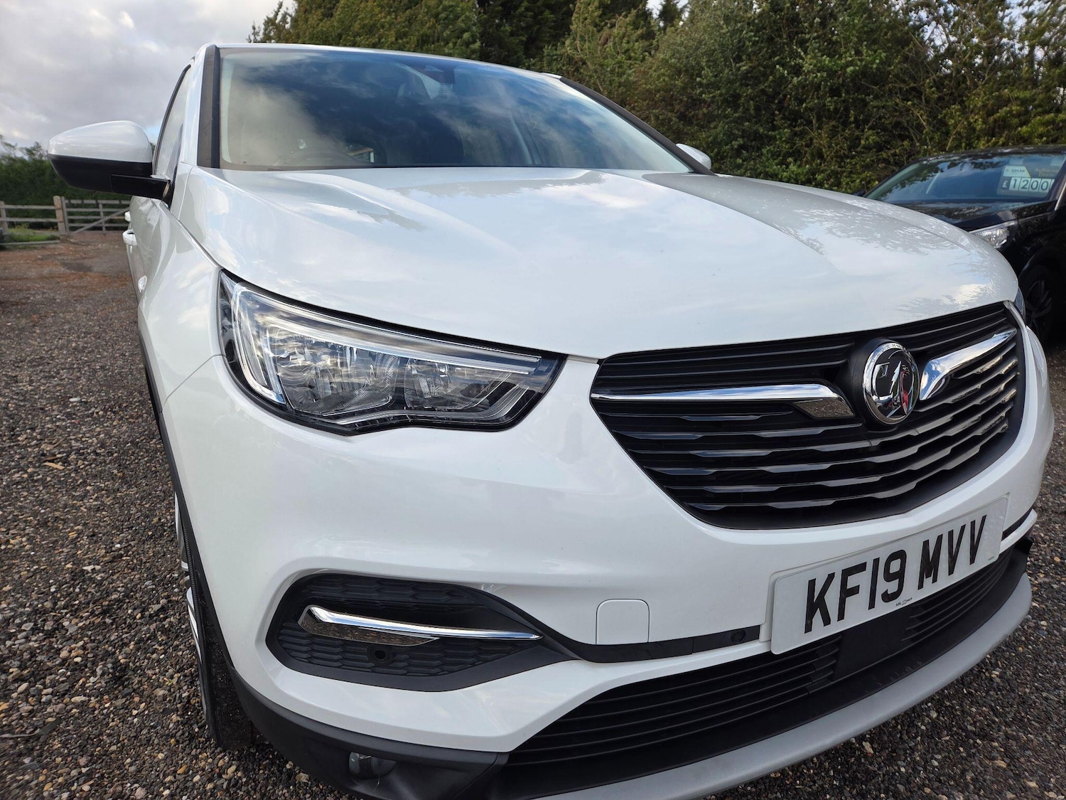 Used Vauxhall Grandland X 2019 for sale - 76500695: Photo 18