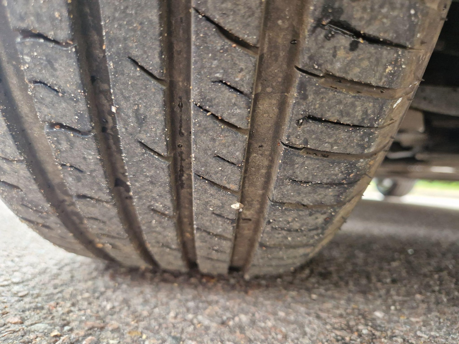 Used Ford Focus 2020 for sale - 76500694: Photo 53