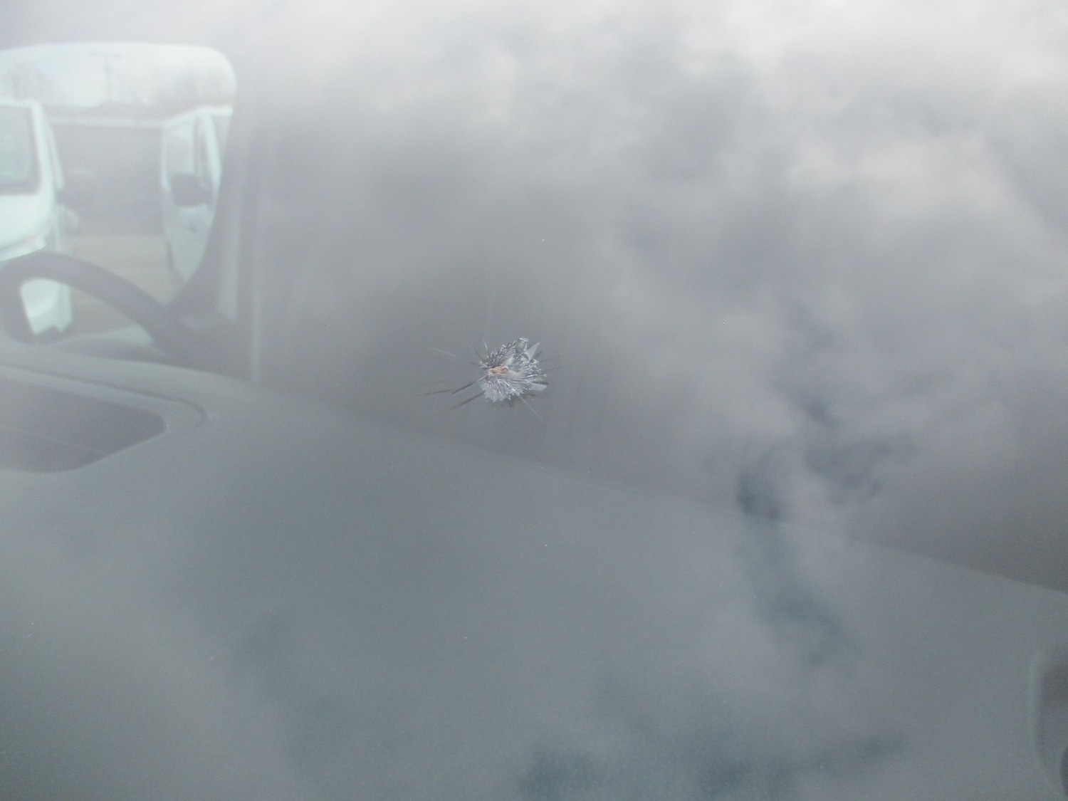 Used Peugeot Expert for sale - 78109843: Photo 37