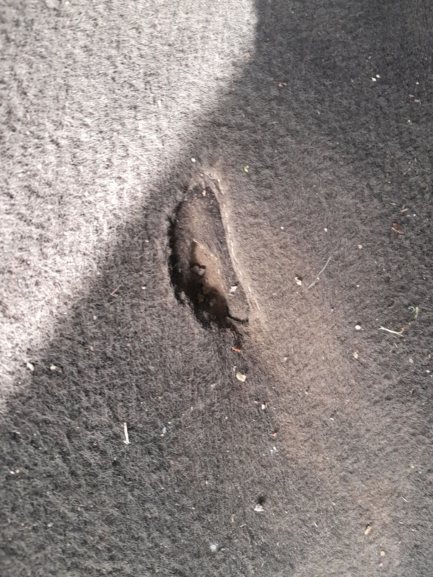 Used Ford Ranger 2022 for sale - 78153195: Photo 37