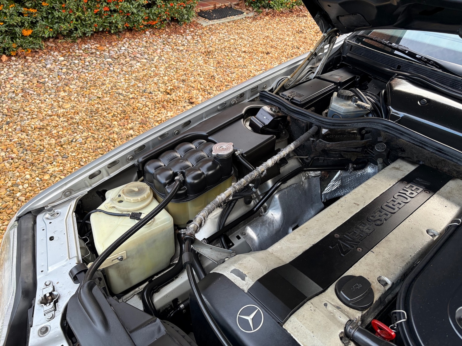 Used Mercedes-Benz S Class 1999 for sale - 76738504: Photo 32