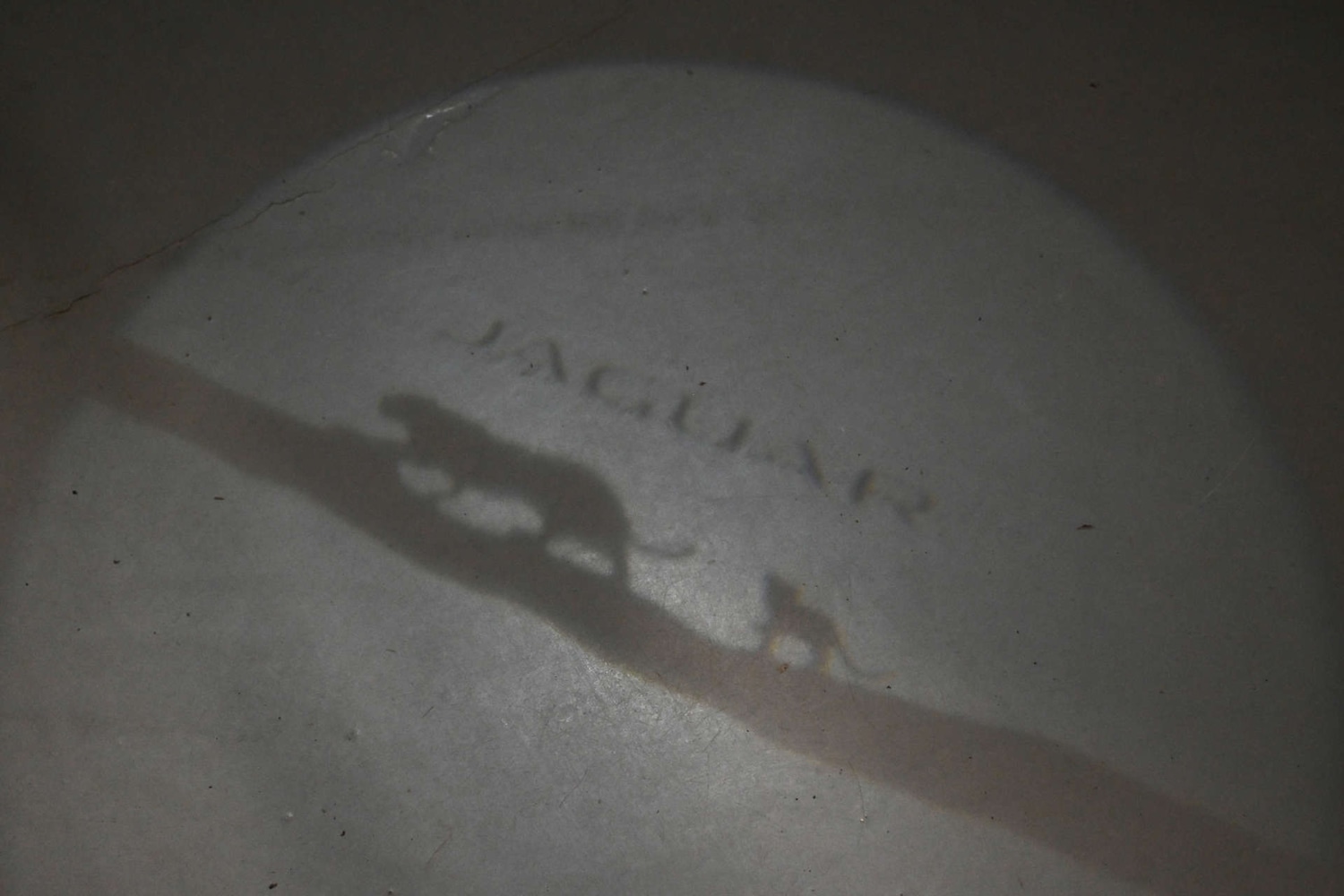 Used Jaguar E-Pace 2020 for sale - 78056678: Photo 42