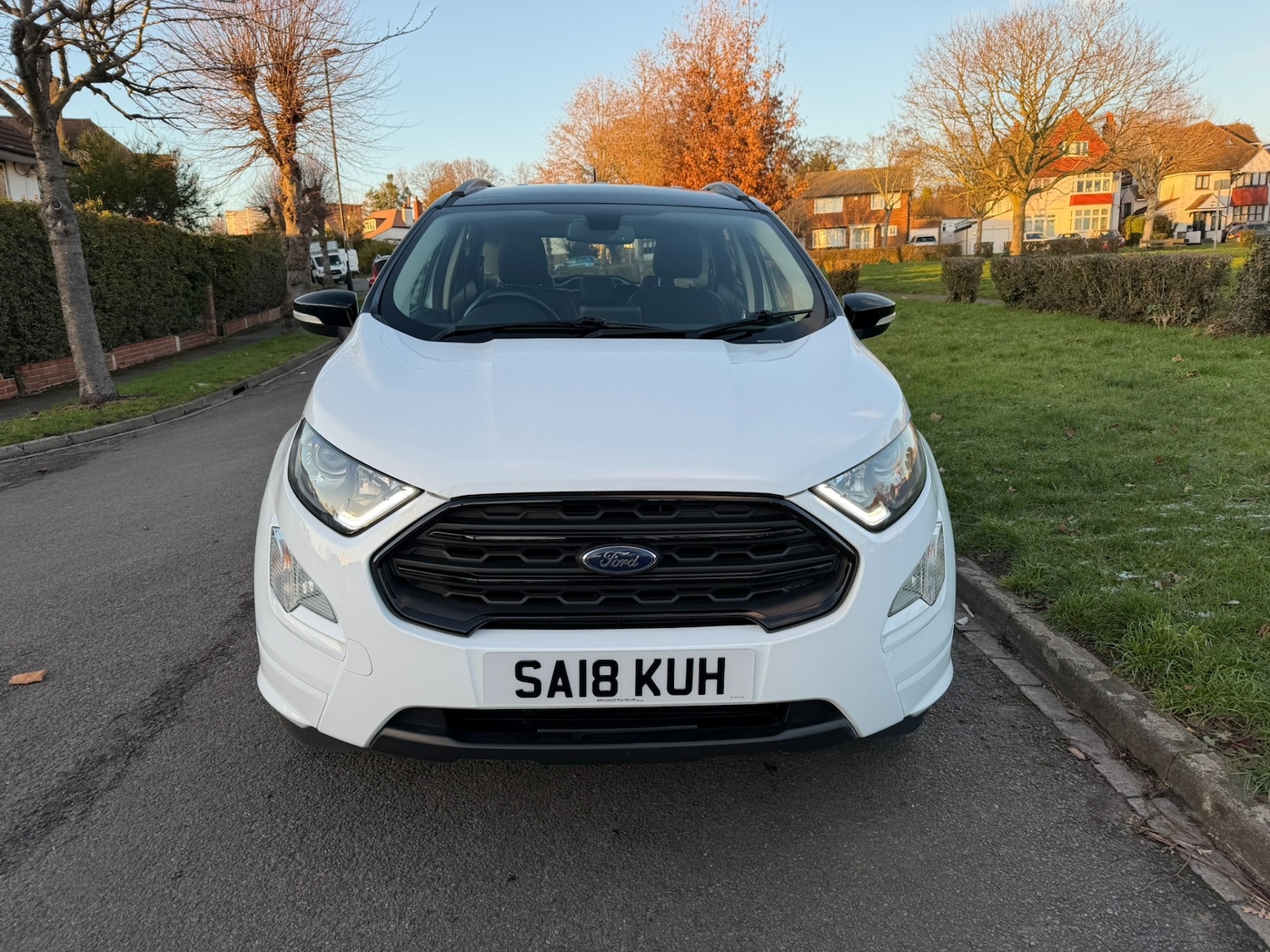 Used Ford Ecosport 2018 for sale - 76778426: Photo 8