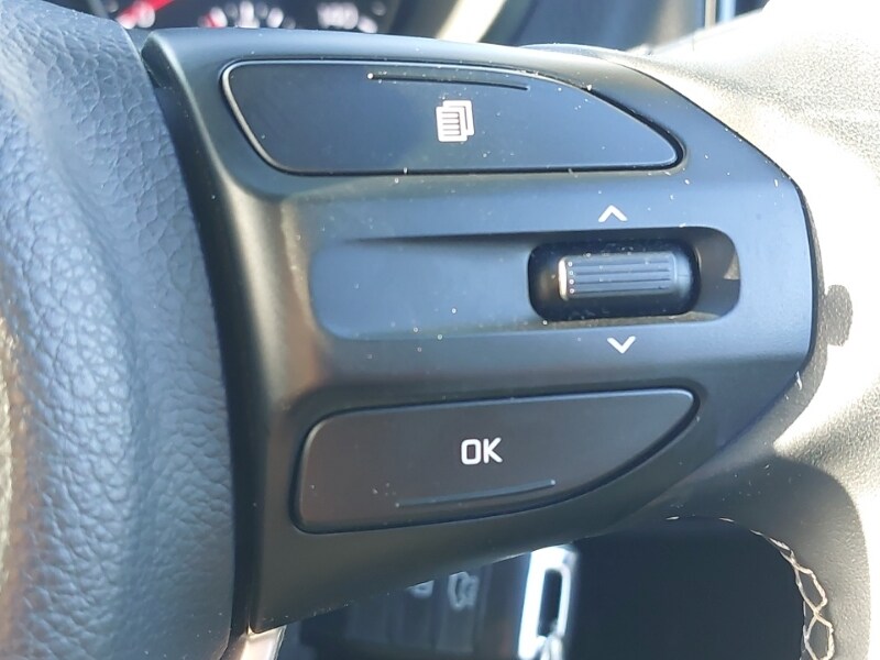 Used Kia Picanto 2023 for sale - 76779321: Photo 14