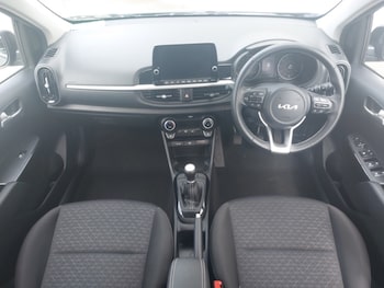 Used Kia Picanto 2023 for sale - 79101314: Photo