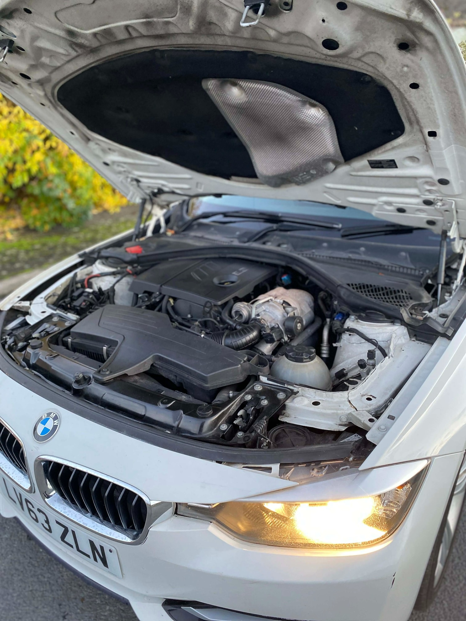 Used BMW 3 Series 2014 for sale - 76984248: Photo 15