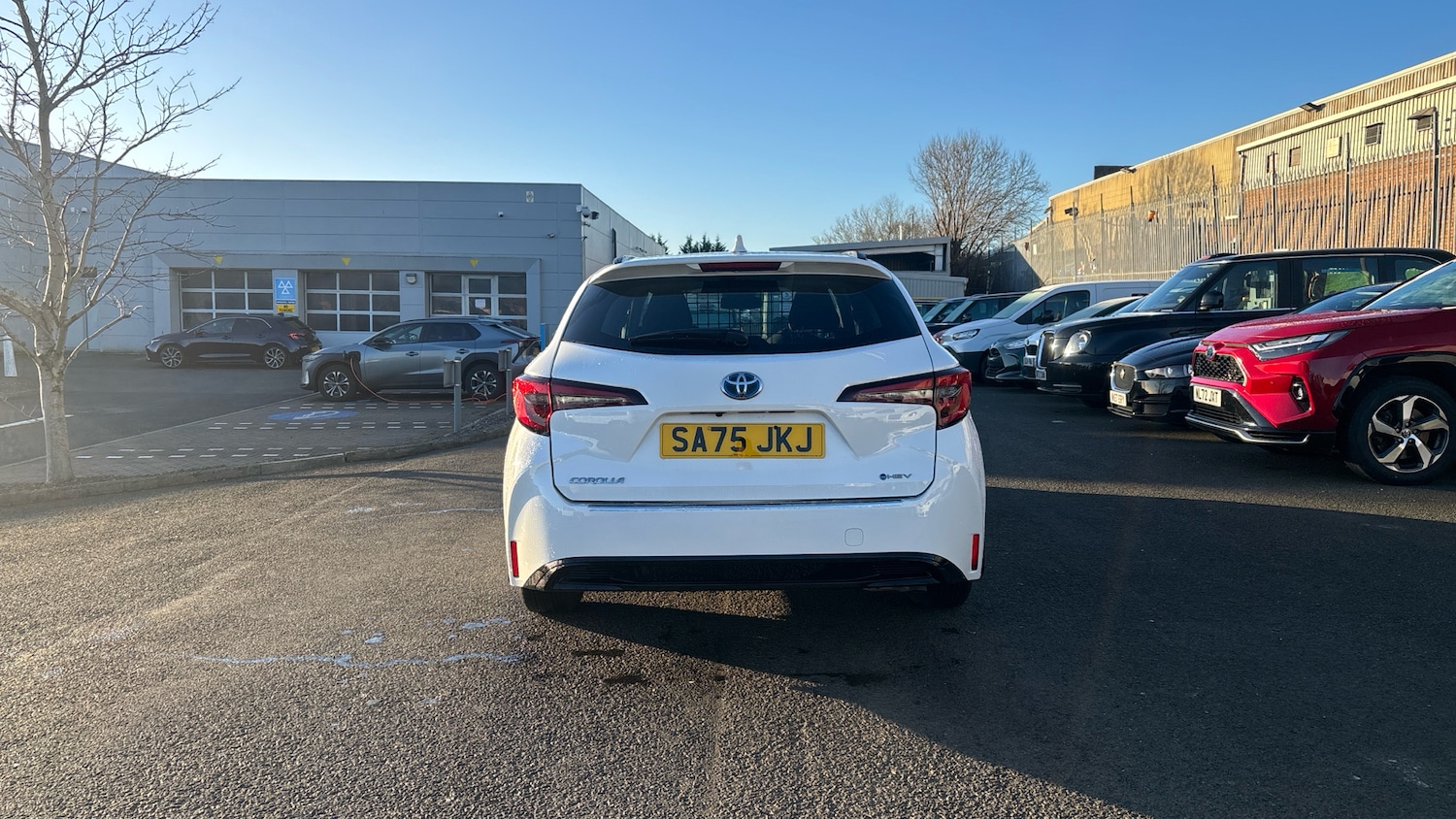 Used Toyota Corolla 2025 for sale - 77113308: Photo 19