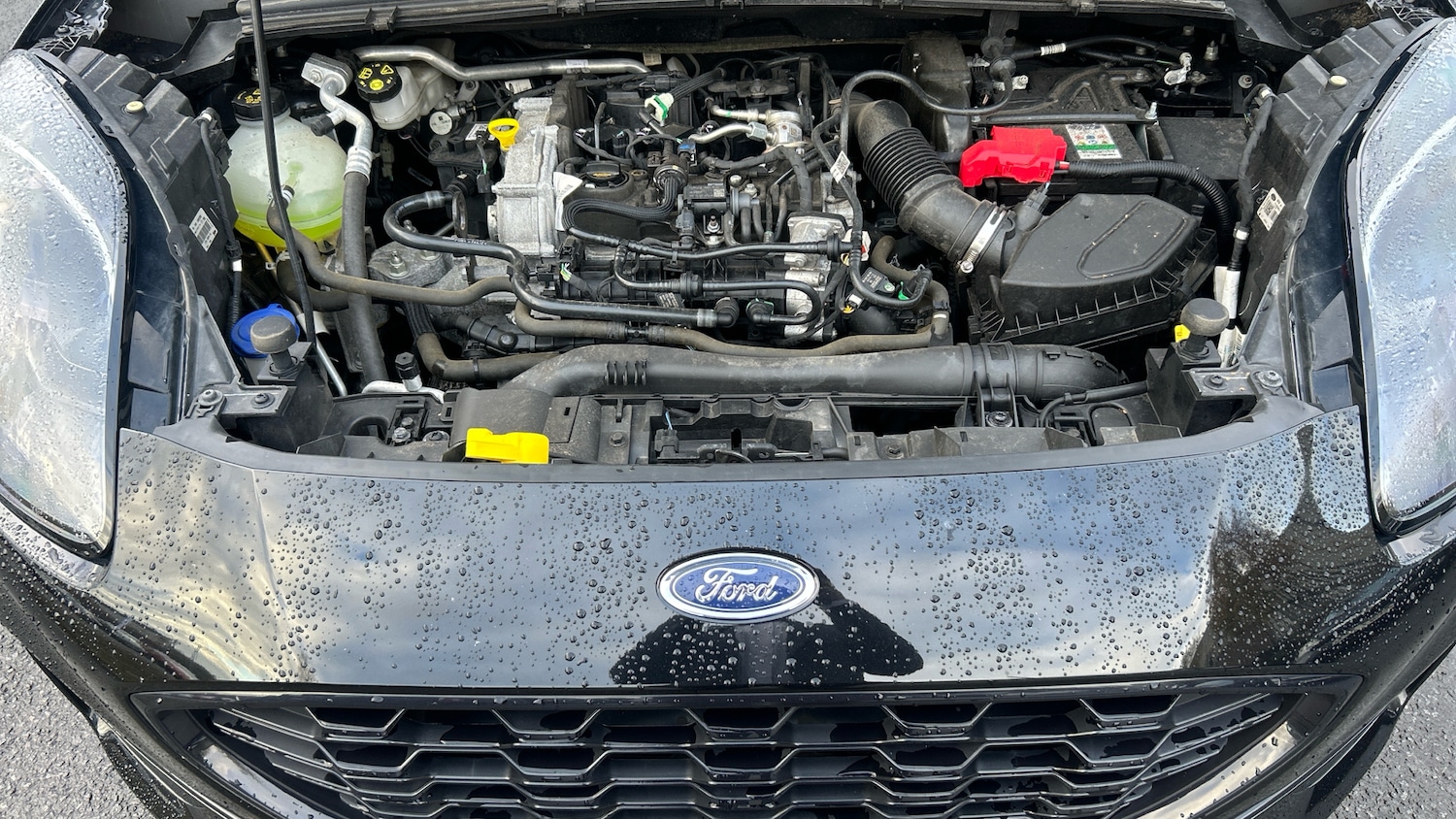 Used Ford Puma 2022 for sale - 76555660: Photo 8