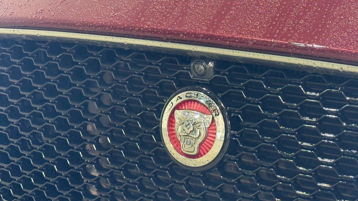 Used Jaguar F-Pace for sale - 77862049: Photo 16