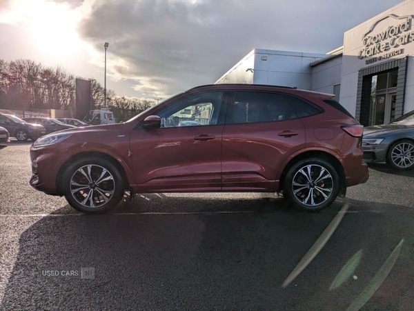 Used Ford Kuga 2022 for sale - 78141737: Photo 3