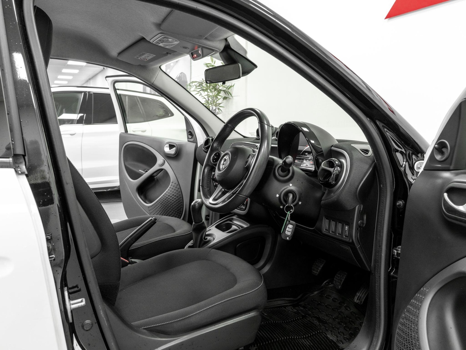 Used smart forfour 2017 for sale - 76592281: Photo 14