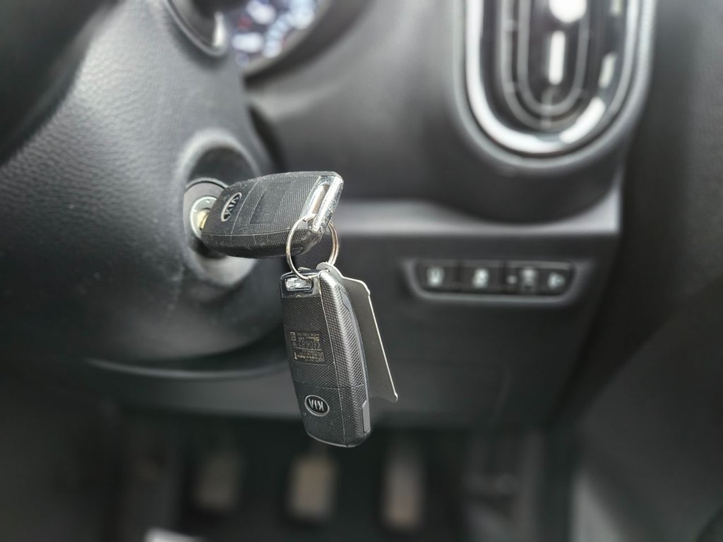 Used Kia Picanto 2019 for sale - 76768603: Photo 25