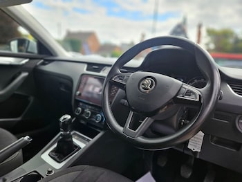 Used Skoda Octavia 2019 for sale - 75171409: Photo
