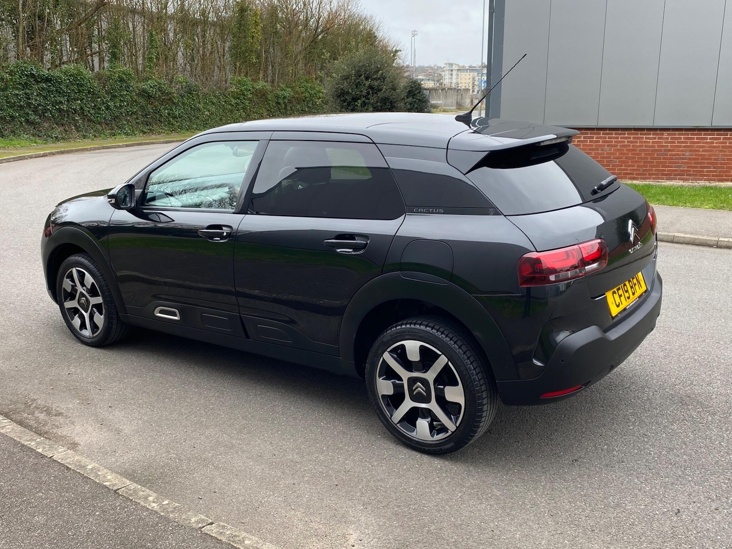 Used Citroen C4 Cactus 2019 for sale - 77625383: Photo 17
