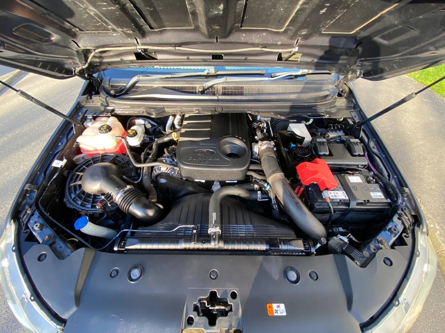 Used Ford Ranger for sale - 77658938: Photo 58