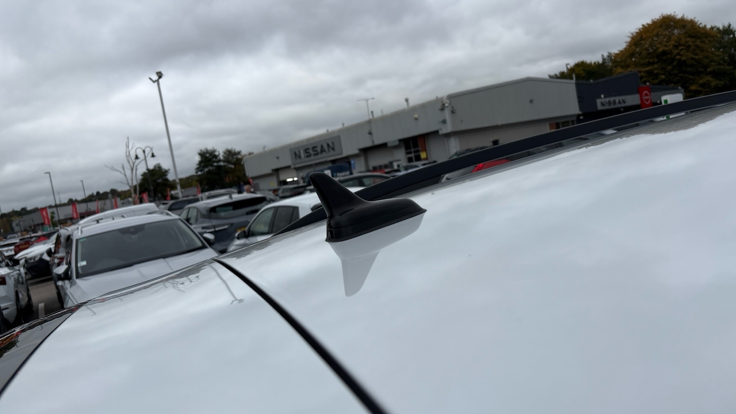 Used Skoda Kodiaq 2023 for sale - 76319169: Photo 31