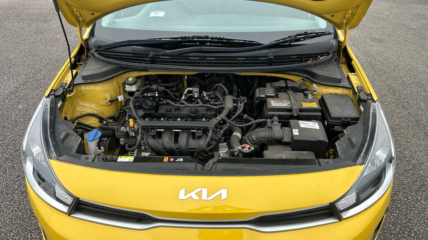 Used Kia Rio 2023 for sale - 77461526: Photo 8