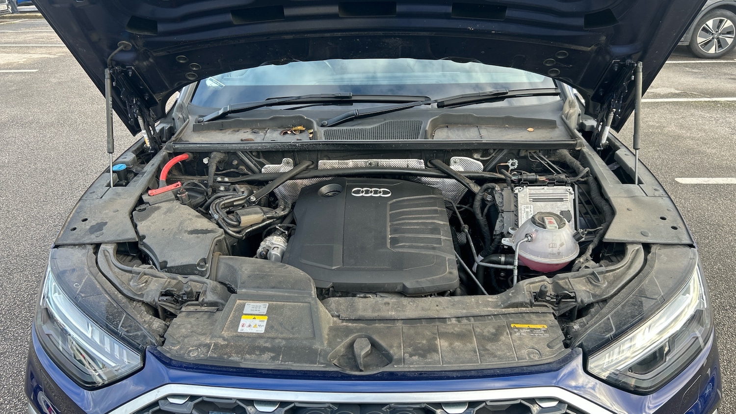 Used Audi Q5 2023 for sale - 77503990: Photo 8