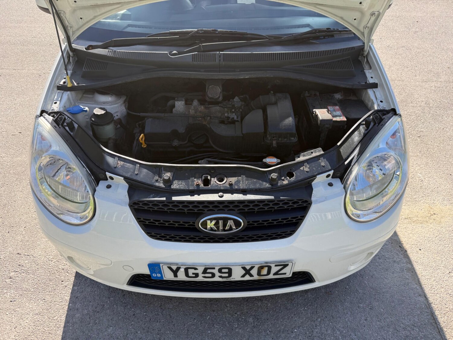 Used Kia Picanto 2009 for sale - 77940008: Photo 43