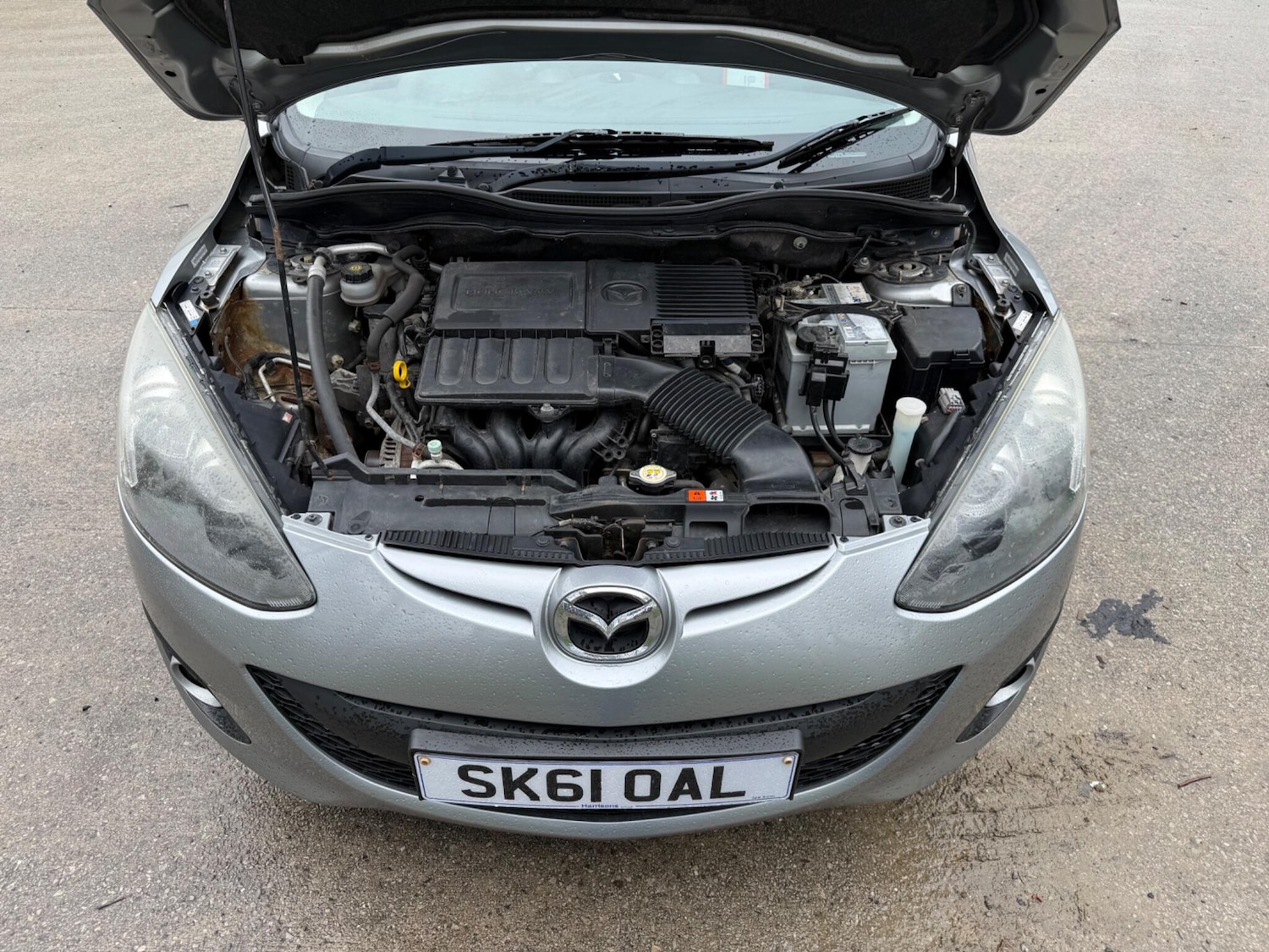 Used Mazda Mazda2 2011 for sale - 77705532: Photo 51