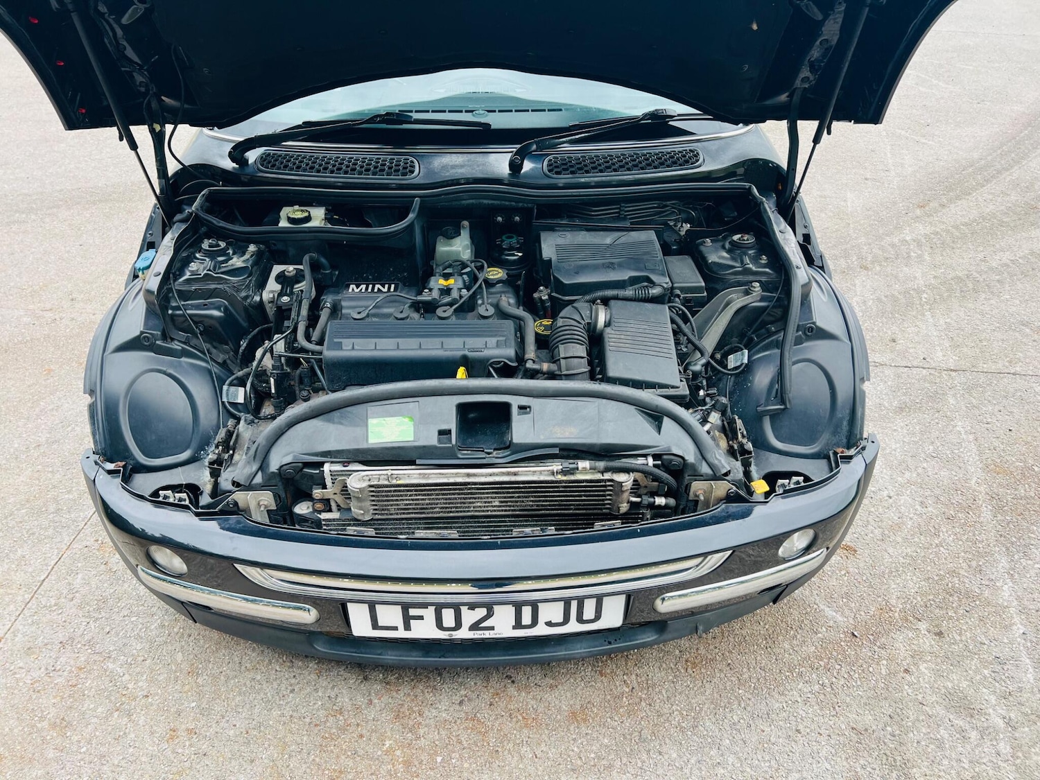 Used MINI Hatch 2002 for sale - 77455393: Photo 51