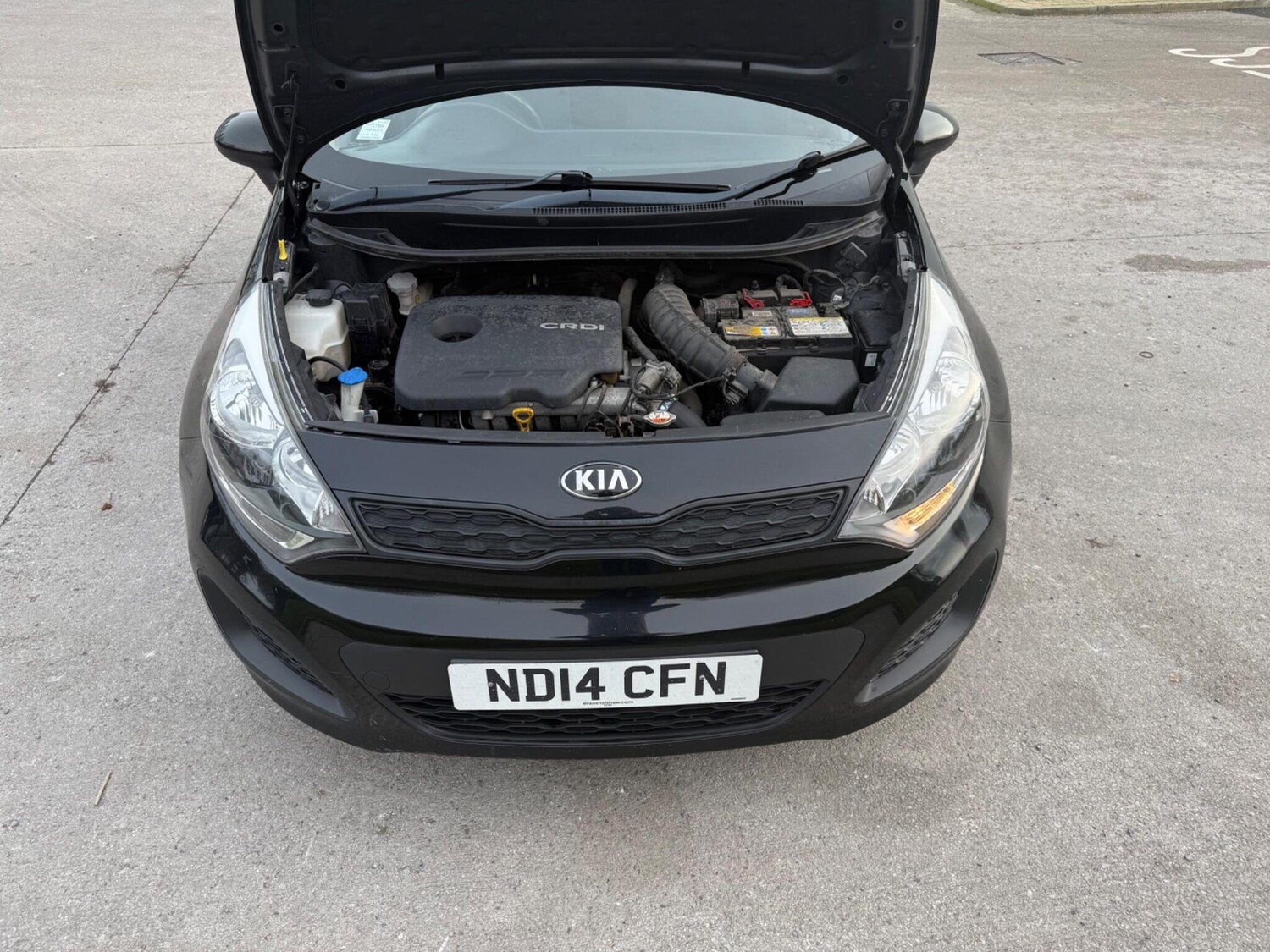 Used Kia Rio for sale - 77559046: Photo 52