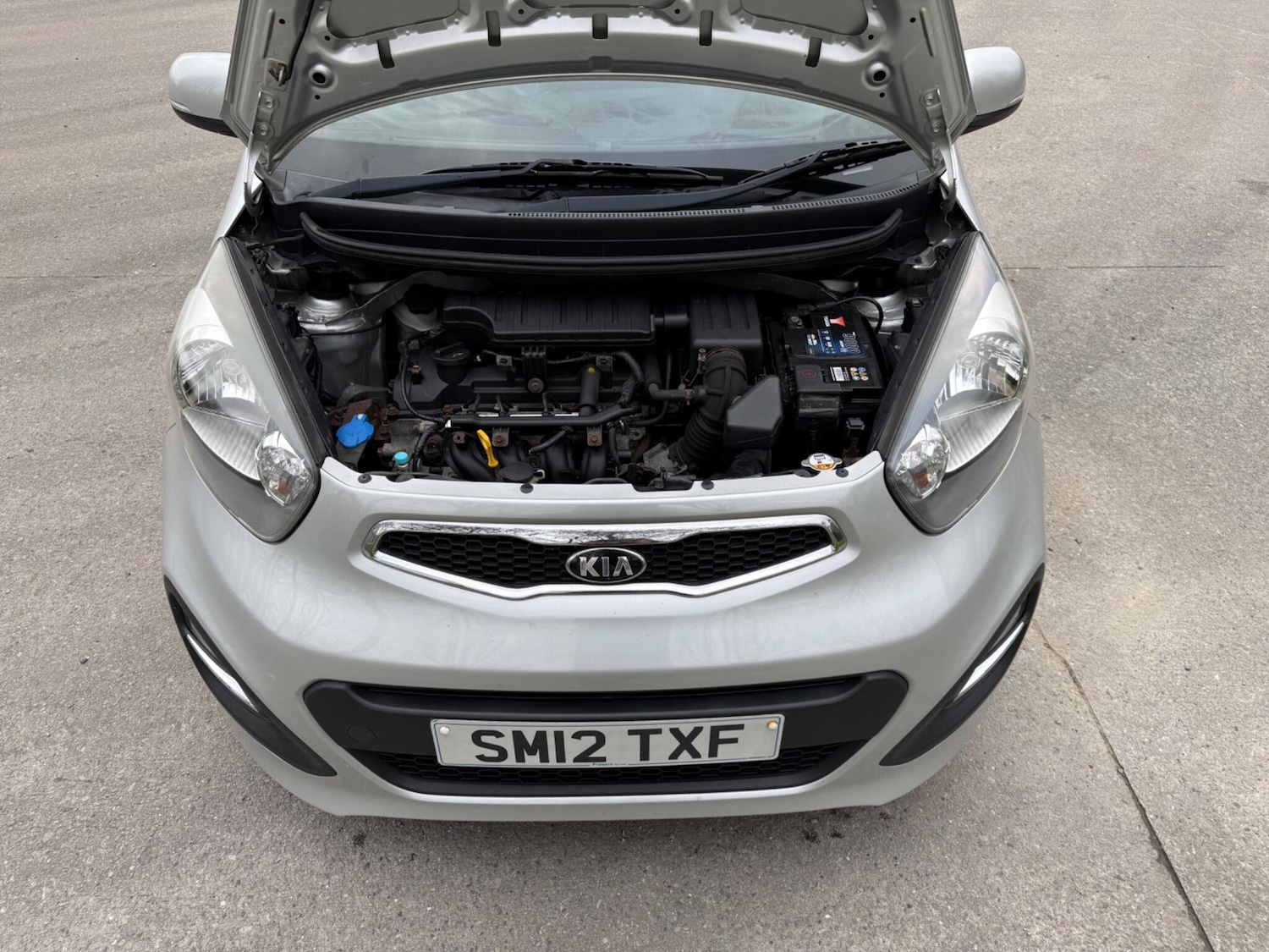 Used Kia Picanto for sale - 78100794: Photo 51