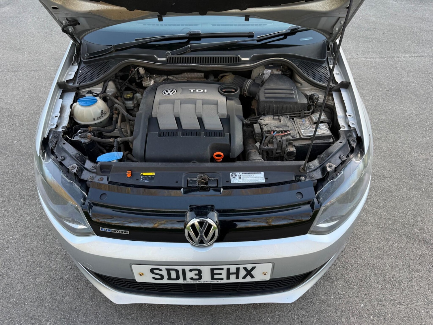 Used Volkswagen Polo for sale - 78116457: Photo 48