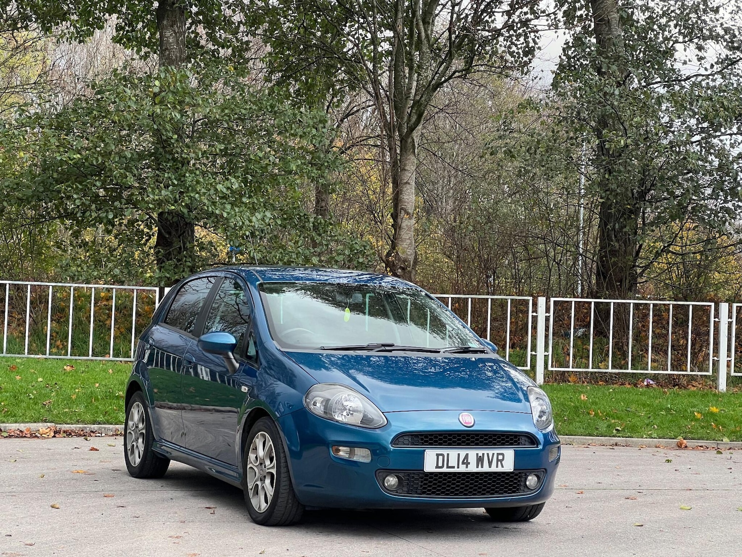 Used Fiat Punto 2014 for sale - 77455926: Photo 3