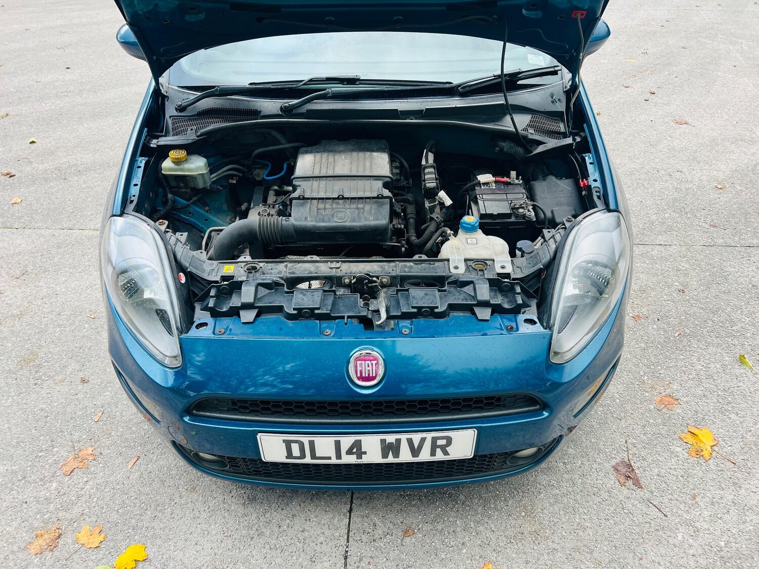 Used Fiat Punto 2014 for sale - 77455926: Photo 52