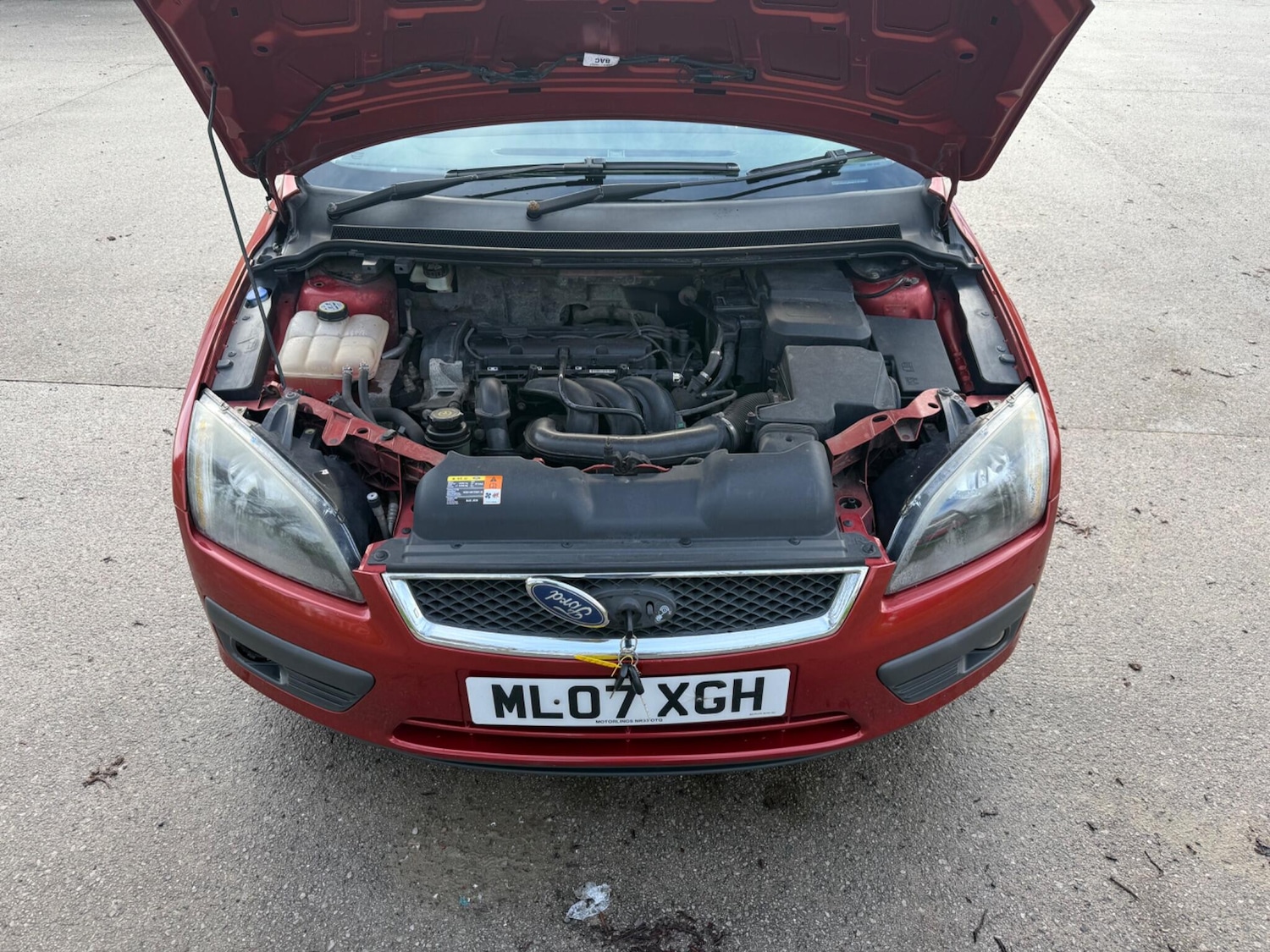 Used Ford Focus for sale - 77550338: Photo 51