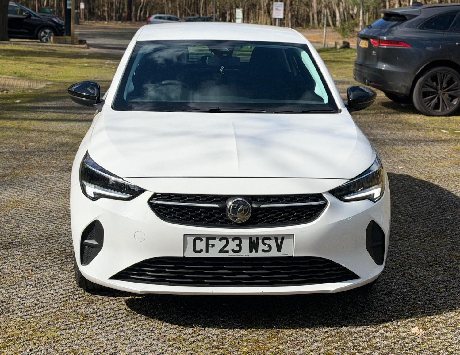 Used Vauxhall Corsa 2023 for sale - 78062767: Photo 8