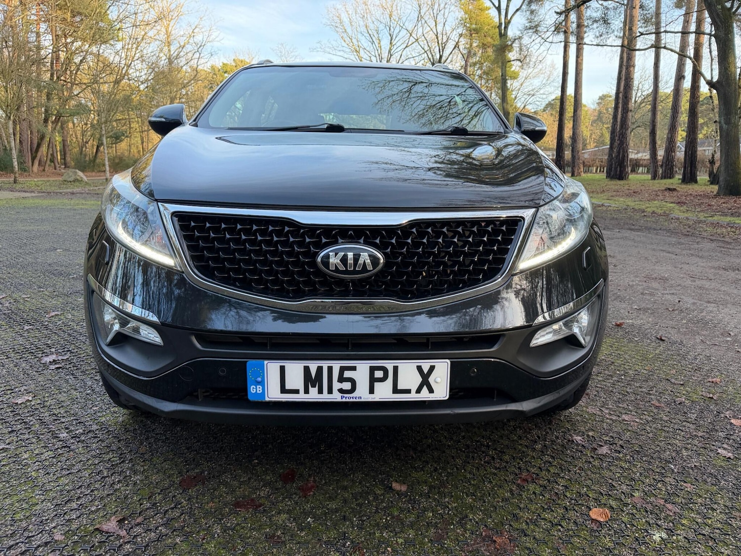 Used Kia Sportage 2015 for sale - 77238272: Photo 10