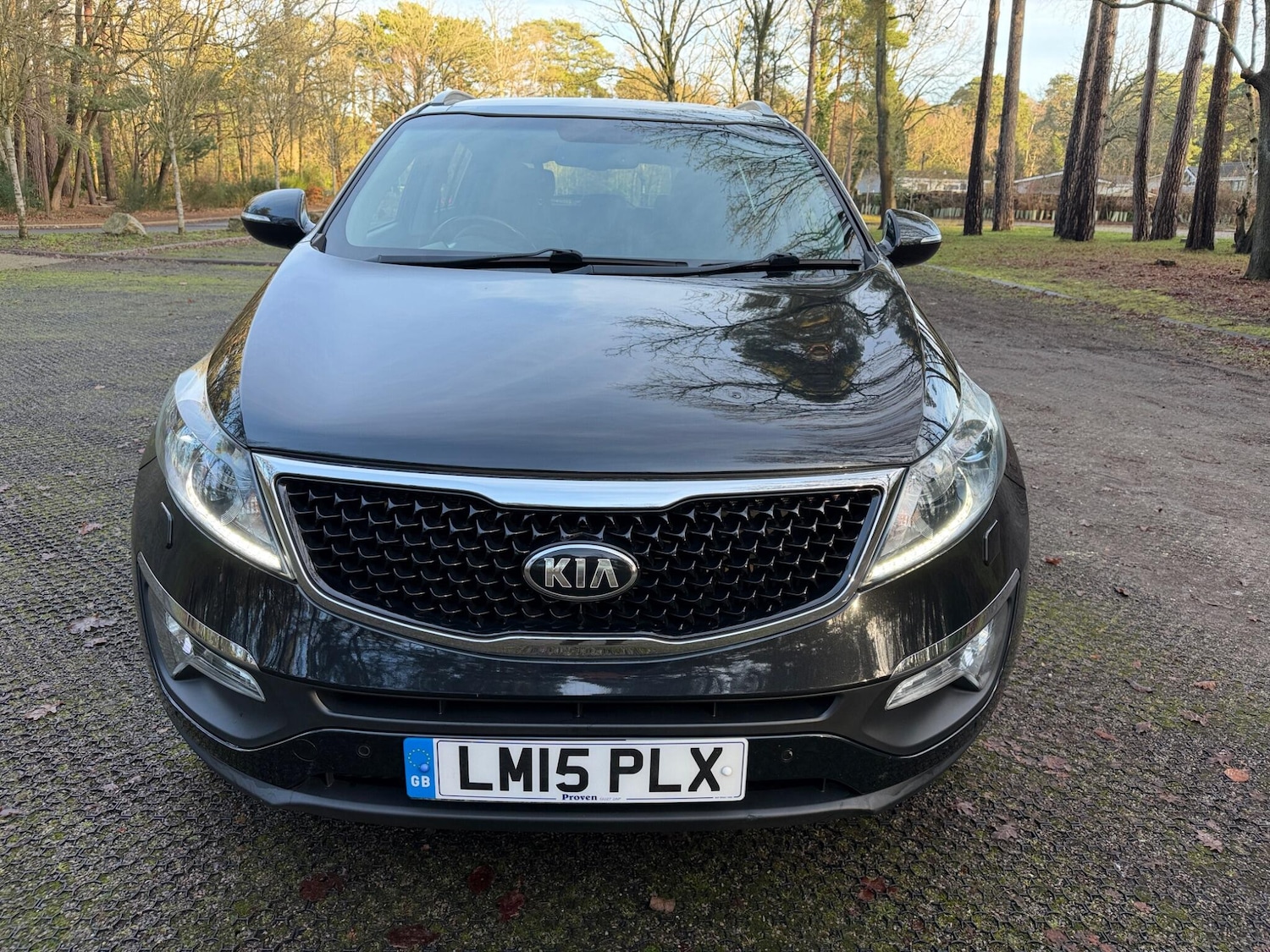 Used Kia Sportage 2015 for sale - 77238272: Photo 11