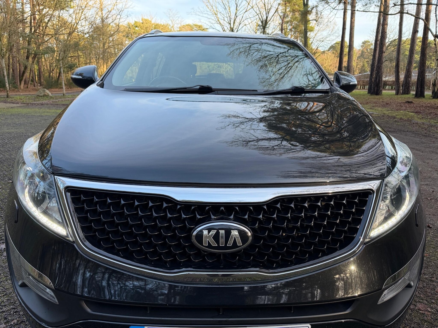 Used Kia Sportage 2015 for sale - 77238272: Photo 14