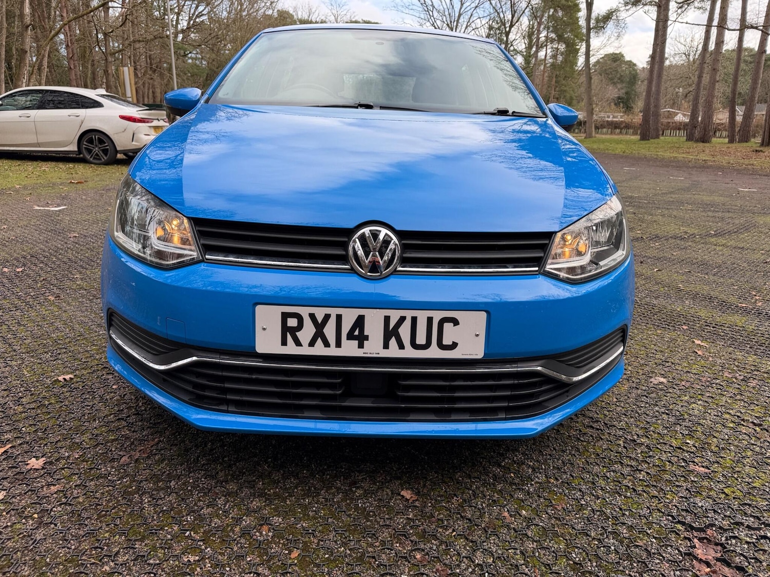 Used Volkswagen Polo for sale - 77321062: Photo 12