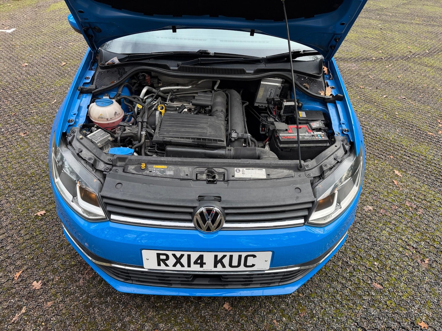 Used Volkswagen Polo for sale - 77321062: Photo 57