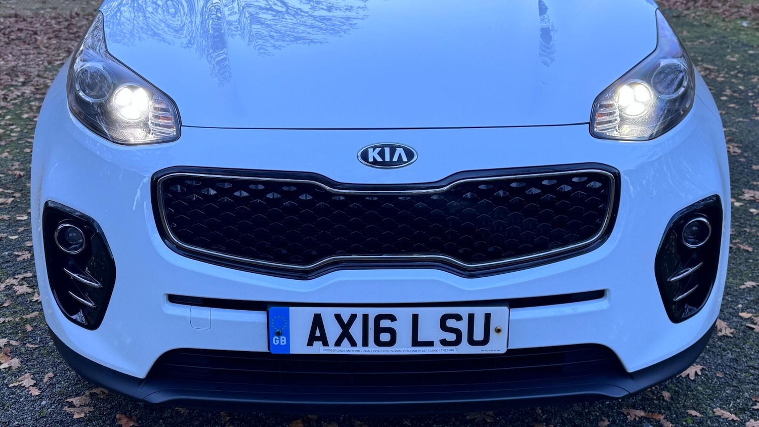 Used Kia Sportage 2016 for sale - 77040774: Photo 14