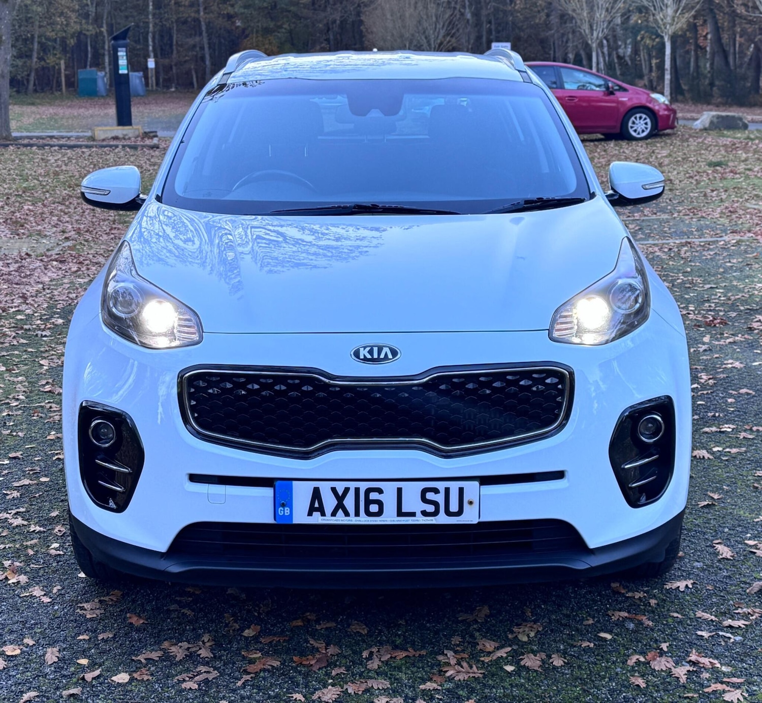 Used Kia Sportage 2016 for sale - 77040774: Photo 6