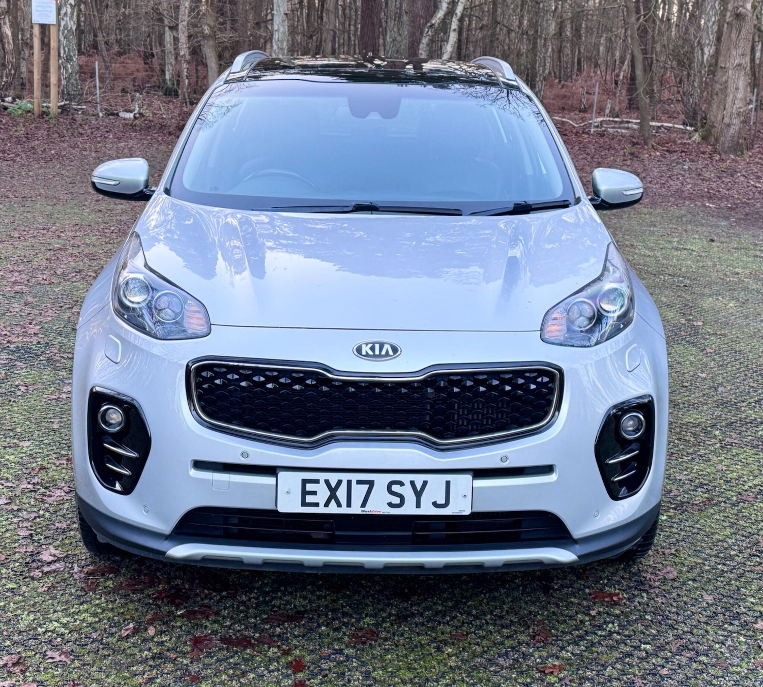 Used Kia Sportage 2017 for sale - 77040955: Photo 5