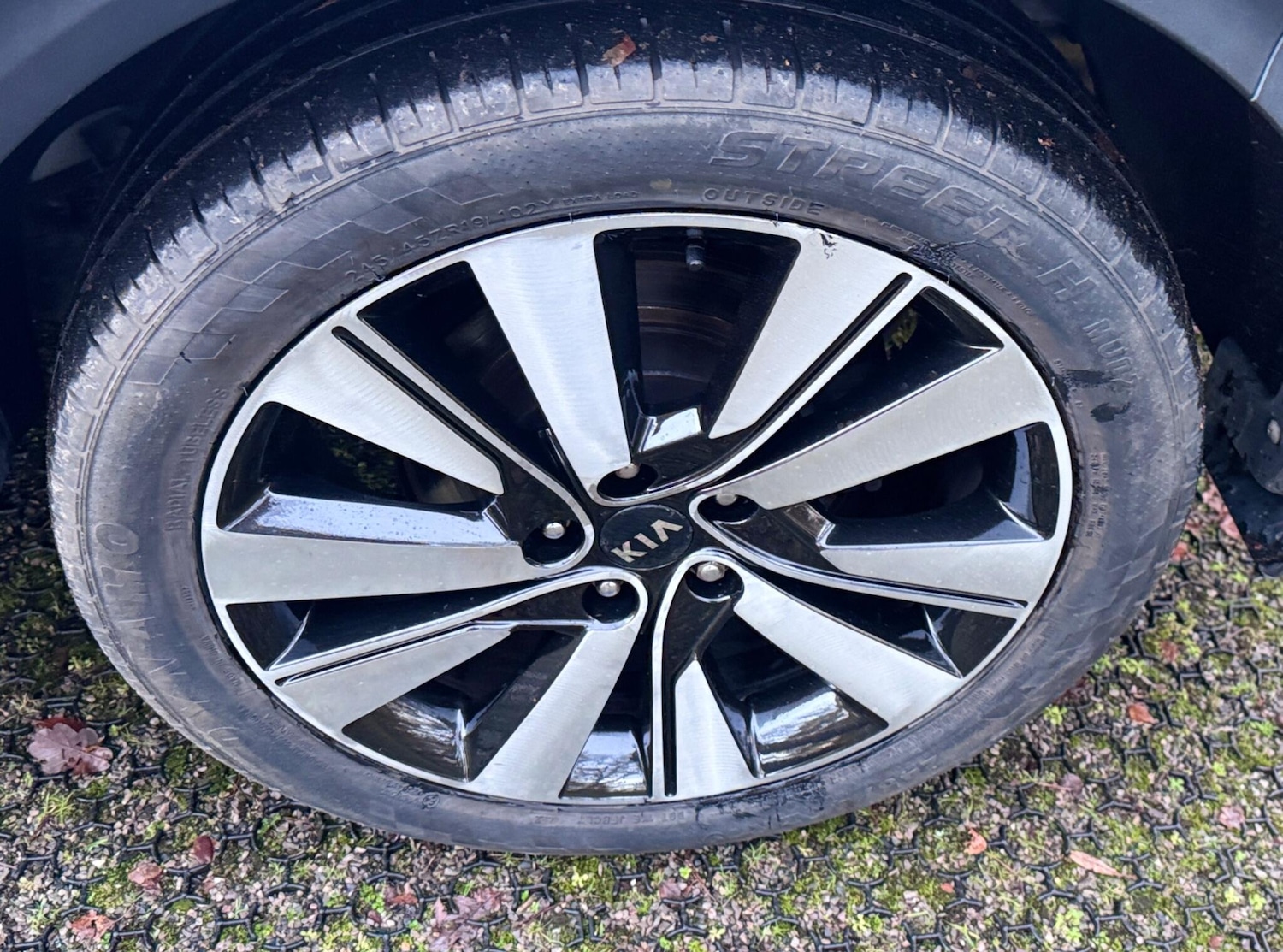 Used Kia Sportage 2017 for sale - 77040955: Photo 64