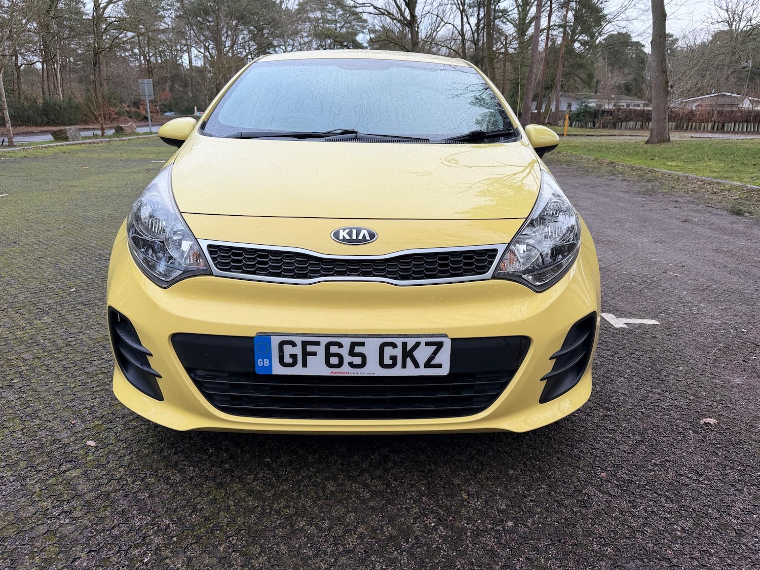 Used Kia Rio 2015 for sale - 77633343: Photo 13