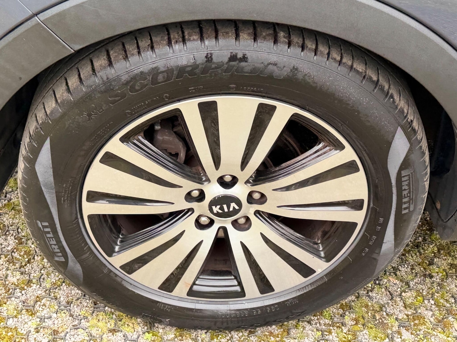 Used Kia Sportage 2016 for sale - 77793329: Photo 23