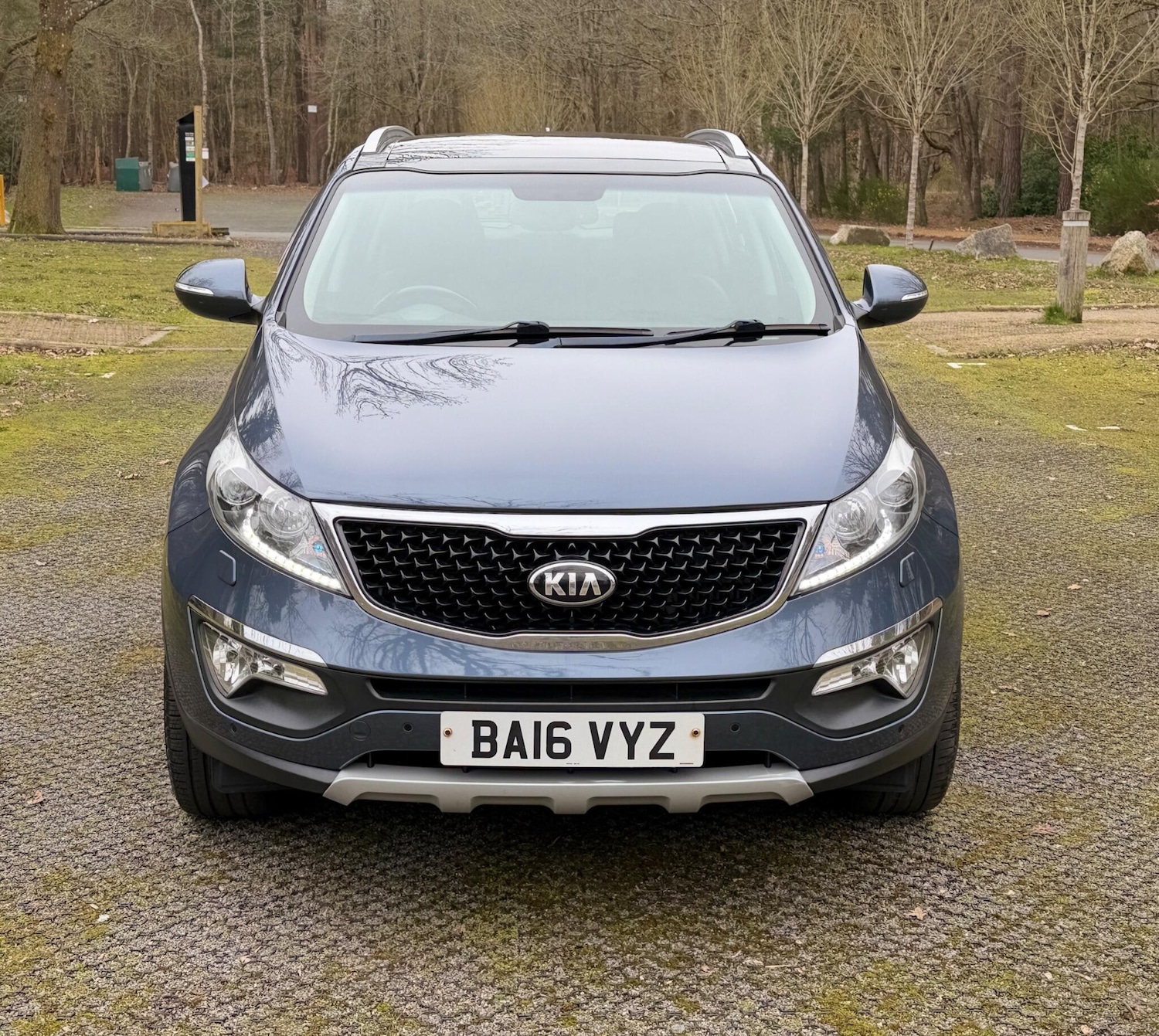 Used Kia Sportage 2016 for sale - 77793329: Photo 6