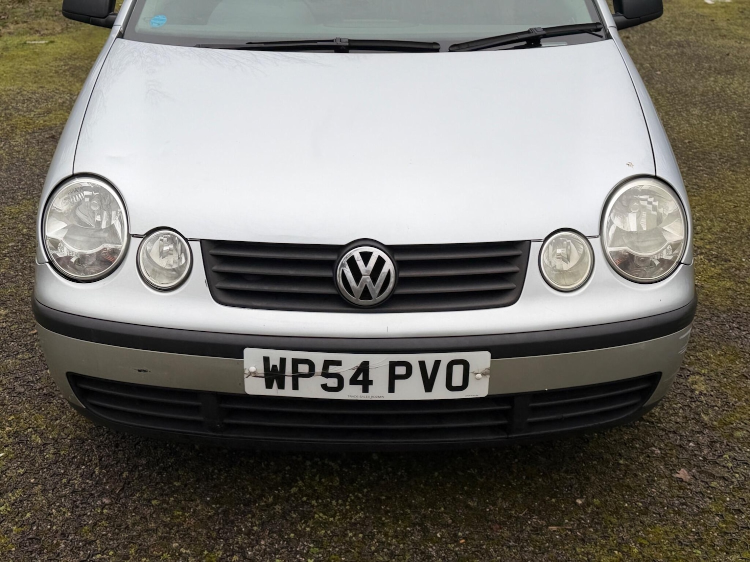 Used Volkswagen Polo 2004 for sale - 77793628: Photo 11