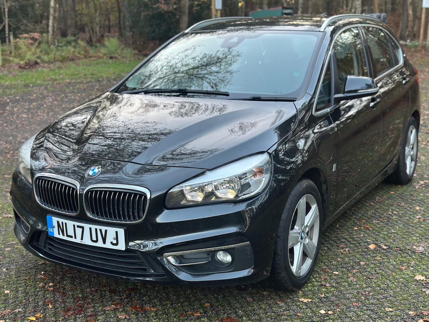 Used BMW 2 Series 2017 for sale - 77039839: Photo 3