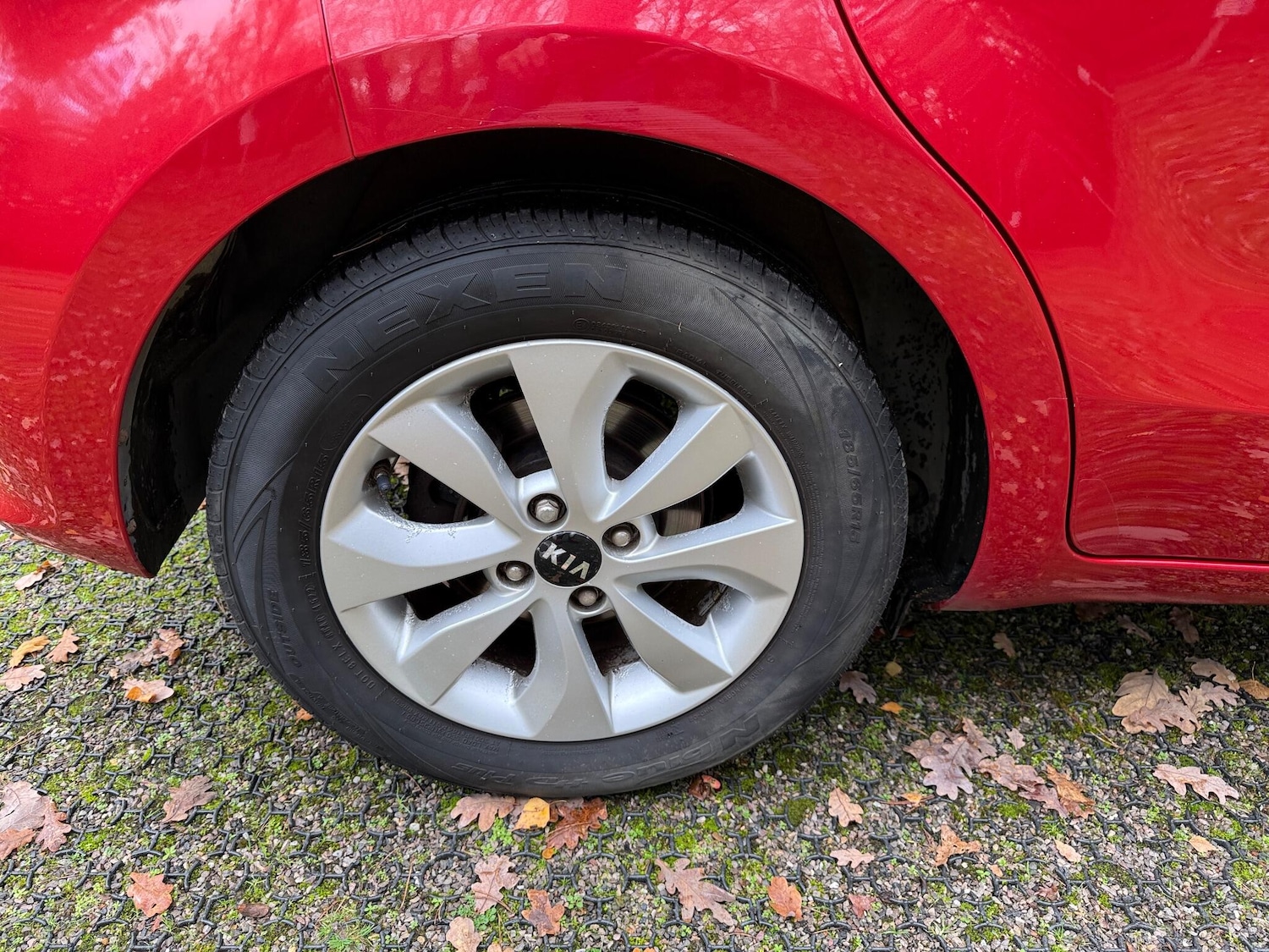 Used Kia Rio 2015 for sale - 77039904: Photo 50