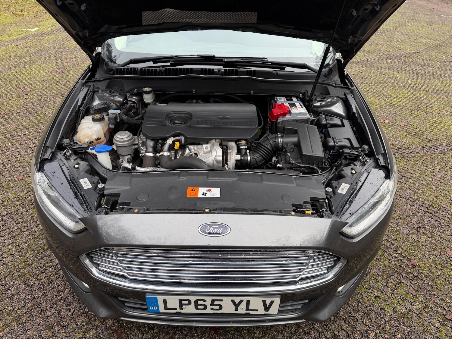 Used Ford Mondeo for sale - 77305026: Photo 57