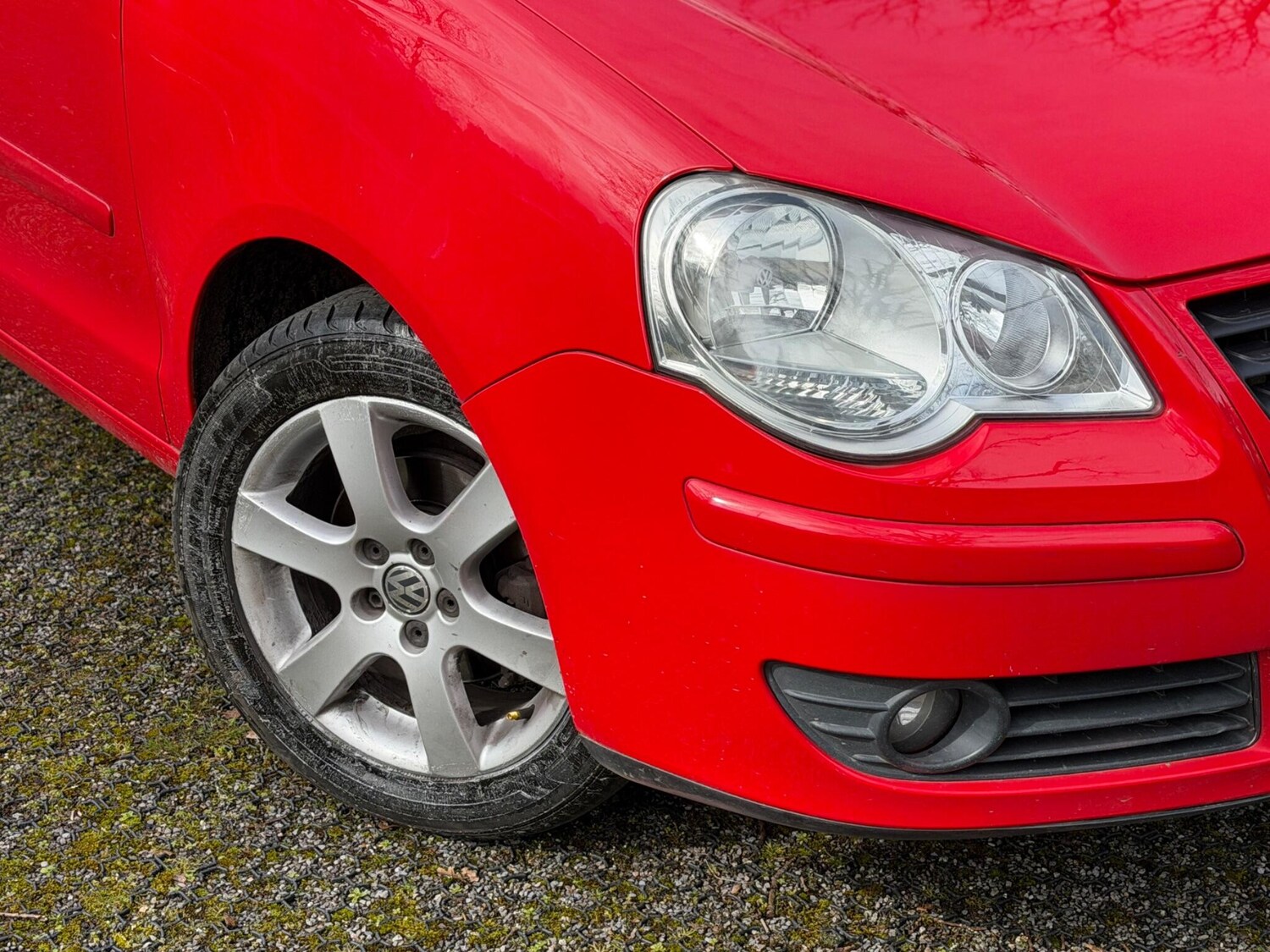 Used Volkswagen Polo for sale - 77909595: Photo 40