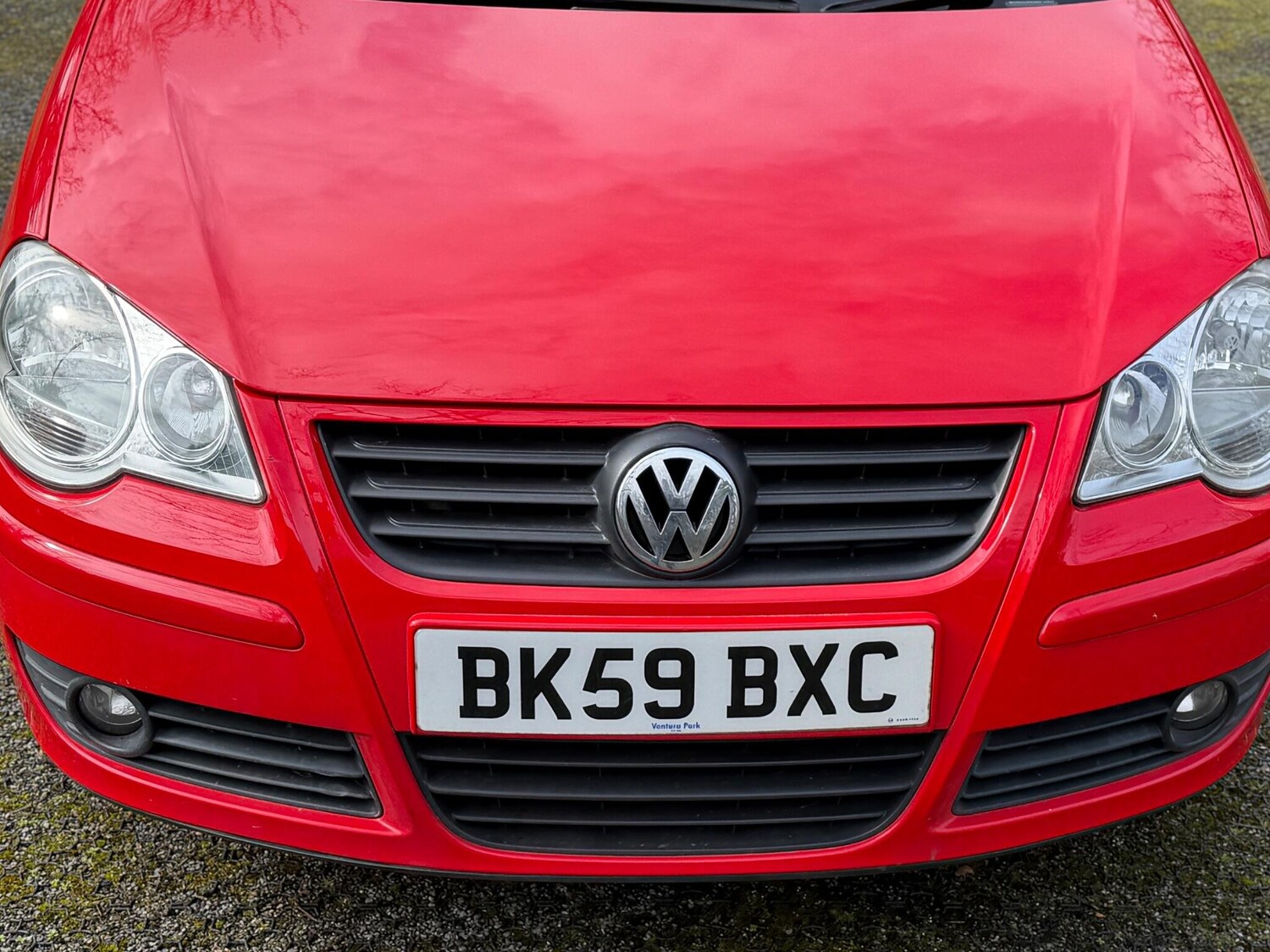 Used Volkswagen Polo for sale - 77909595: Photo 41